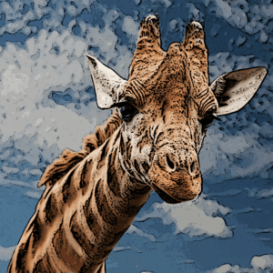 Pilanesberg - Naomi Travel and Tours